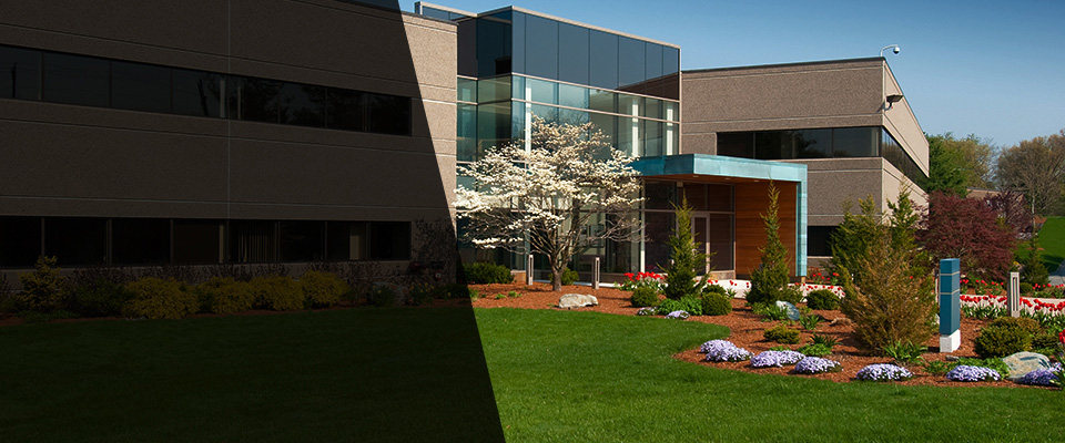 Altamonte Springs Landscapers