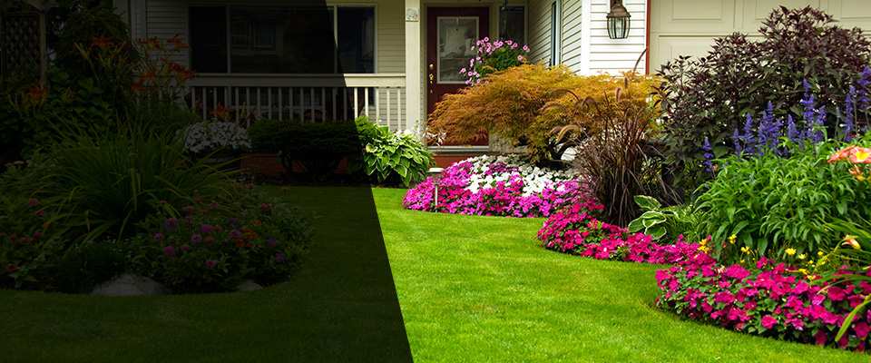 Altamonte Springs Landscapers